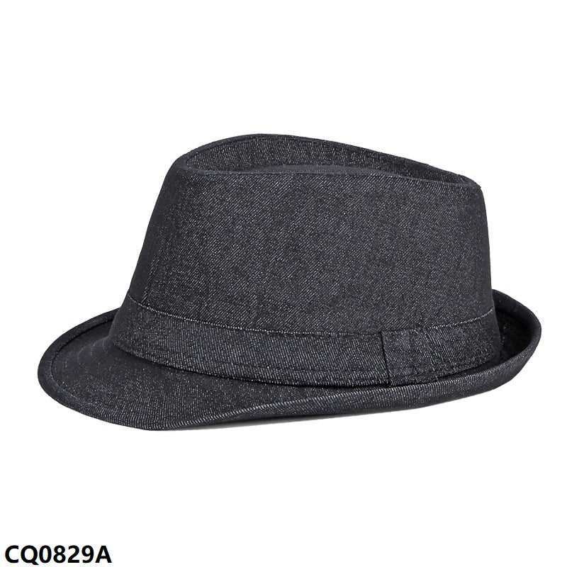 Men's Summer Trilby