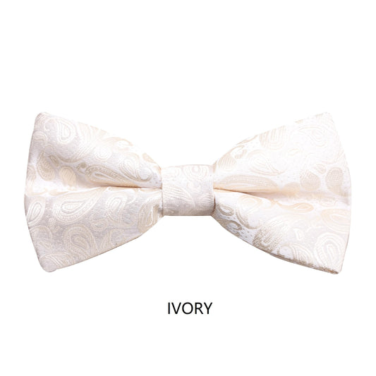 Boys Paisley Bow Tie