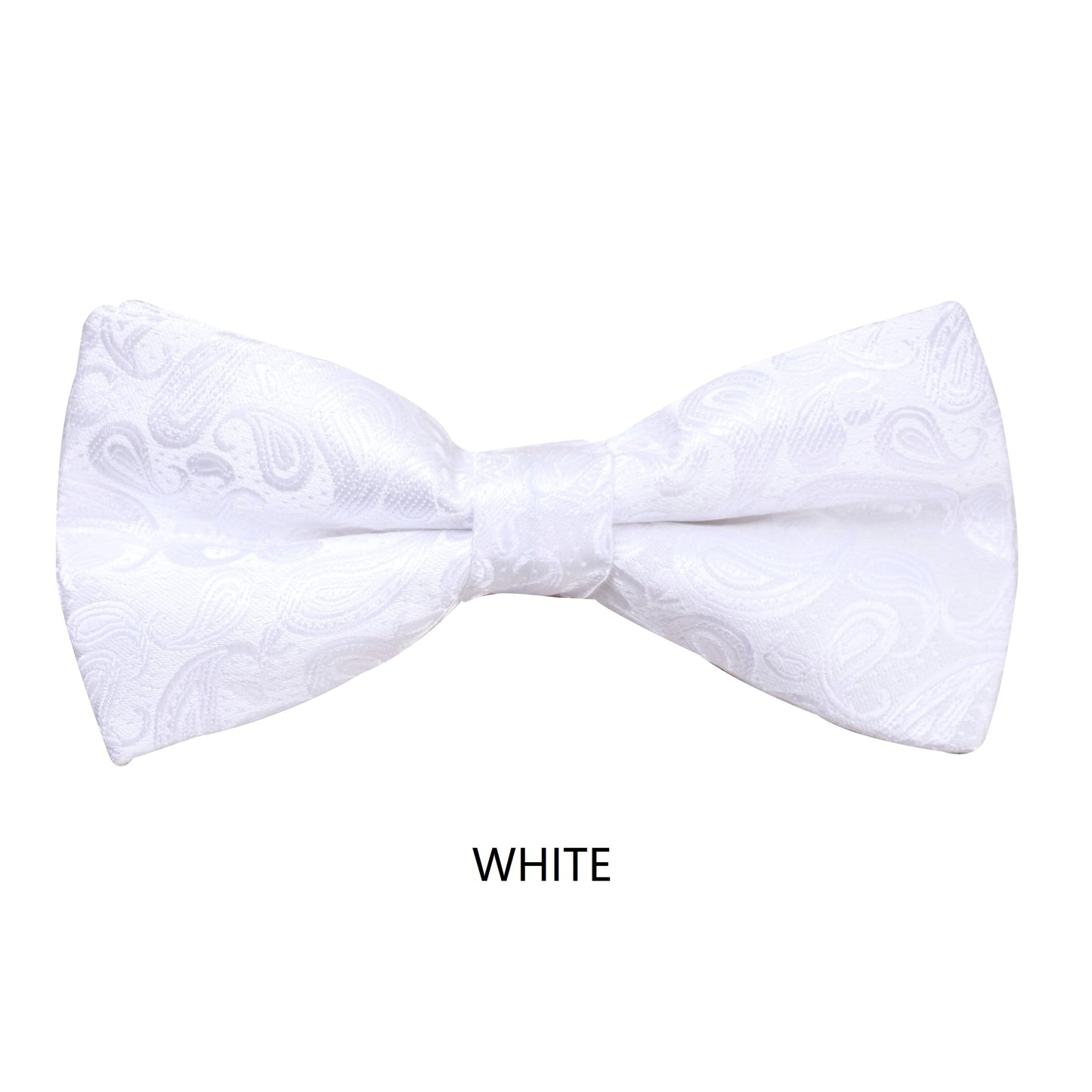 Assorted Paisley Bow Tie