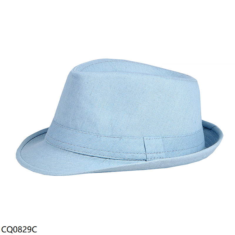 Men's Summer Trilby